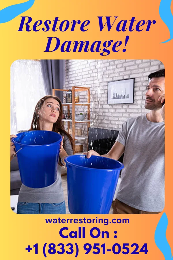 water restoration Premier Water Cleanup Pros Zeeland