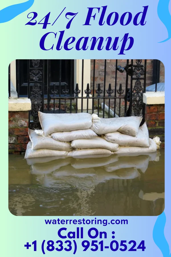 24/7 Flood Cleanup in Zeeland, MI