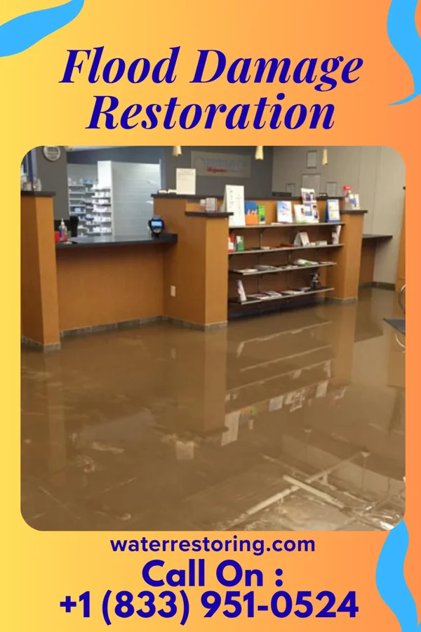 Flood Damage Restoration in Zeeland, MI