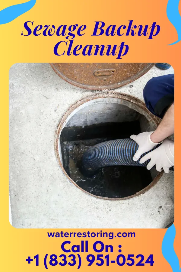 Sewage Backup Cleanup in Zeeland, MI